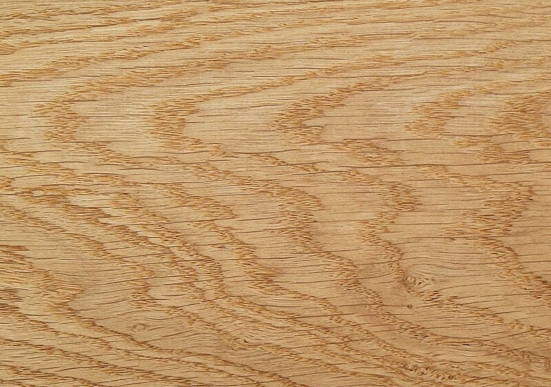 Вишня Верона Egger