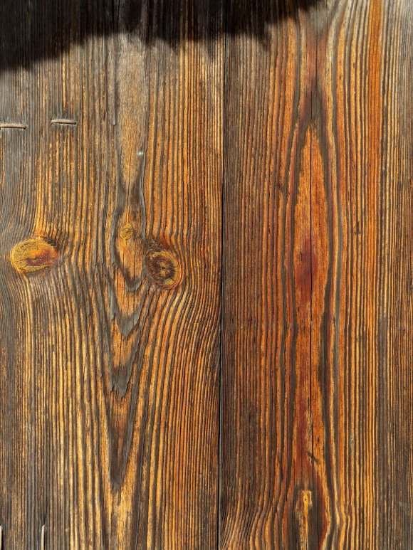 Фактура дерева