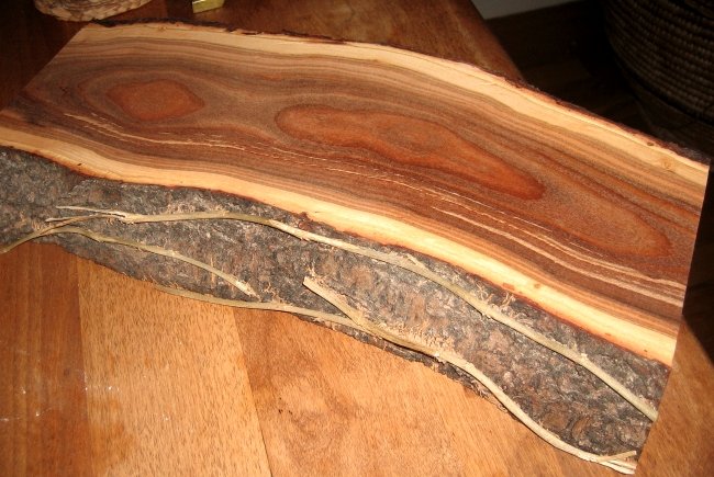 Срез дерева