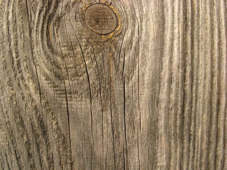 Древесина дуба 2081 столешница Троя