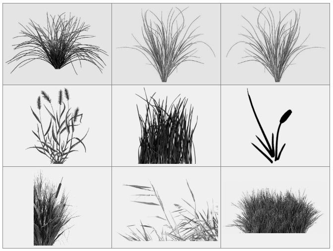 Текстурная кисть травы