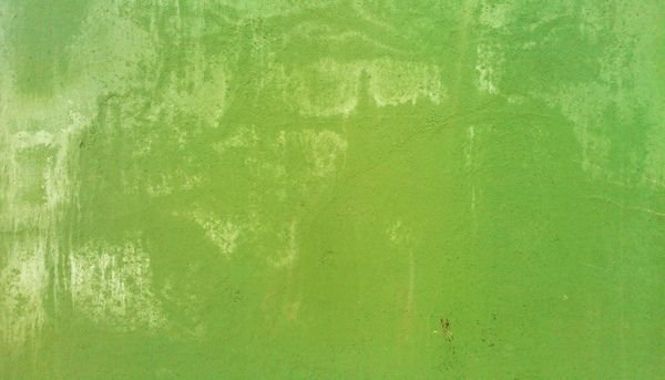Текстура зелёной краски на металле