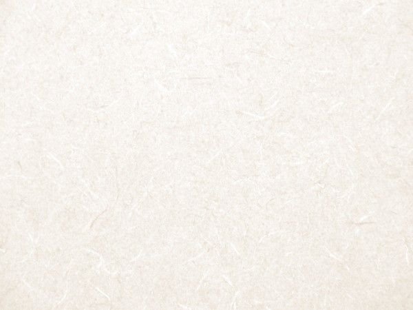 Текстура бумаги Маджестик лунное серебро