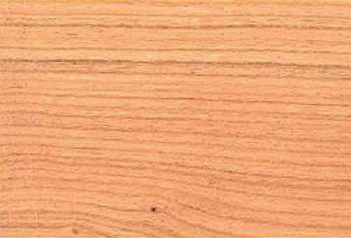 Цвет дерева черешня