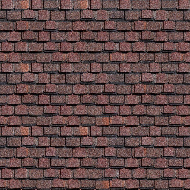 Шинглас Континент Америка