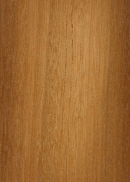 Фактура дерева