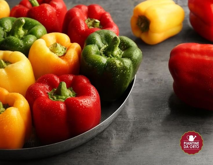 Перец красный сладкий