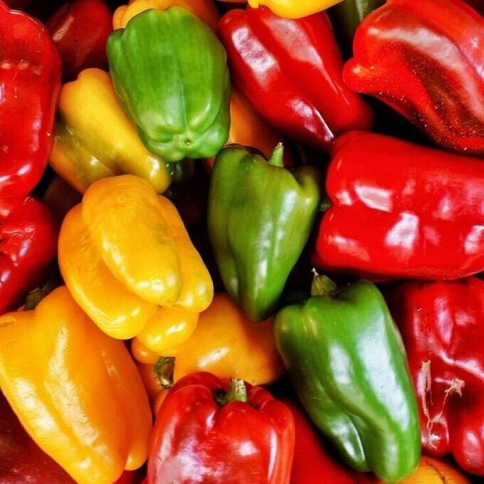 Перец сладкий шоколадный красавец