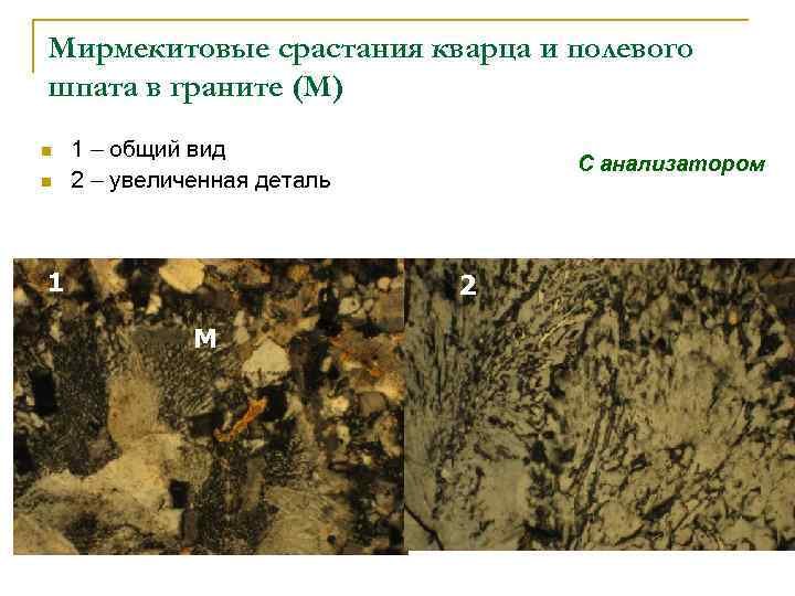 Мирмекитовая структура породы