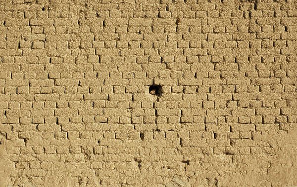 Текстура кирпича