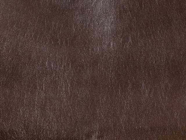 Текстура кожи