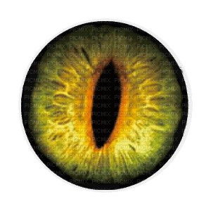 Зрачок глаза дракона