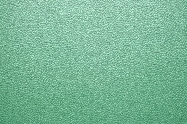 Зеленая кожа