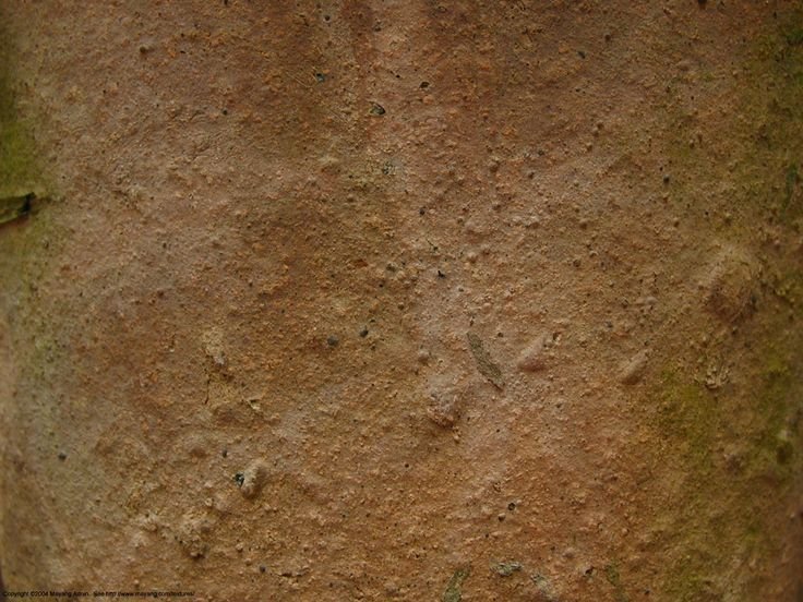 Текстура старой керамики