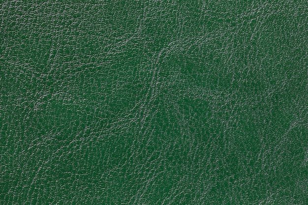 Темно зеленая кожа