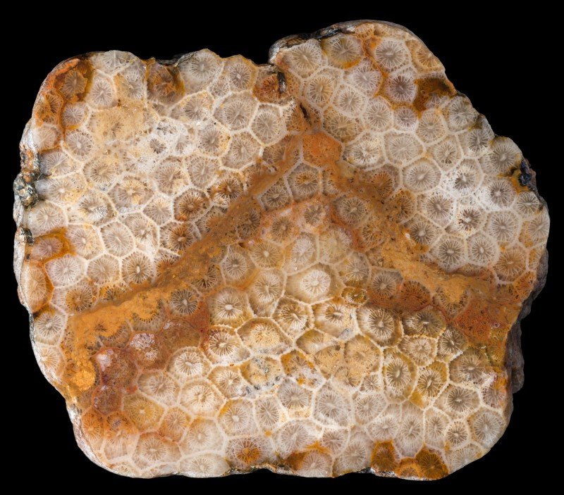 Ячеистая текстура горных пород