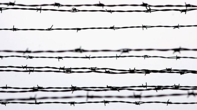 Колючая проволока текстура