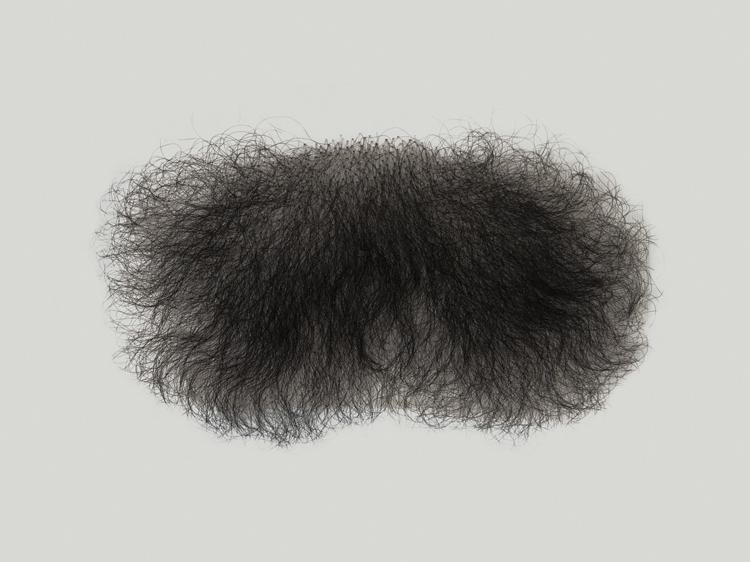 лобковые волосы