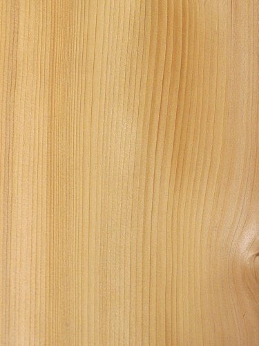 кедр сибирский