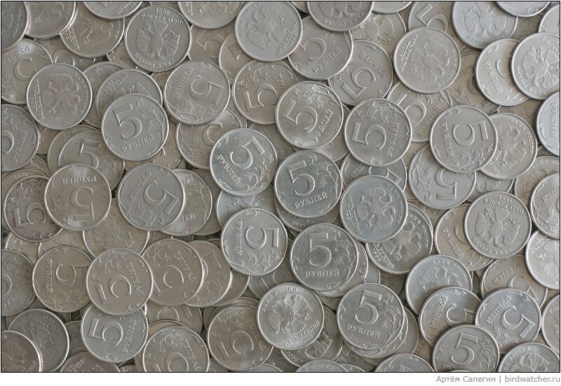 Много монет