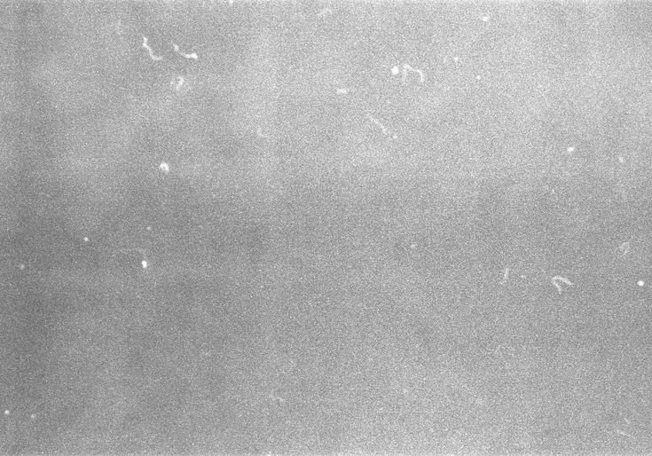 Скан пленочного зерна Ilford Delta 400pr