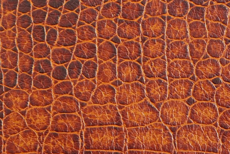 Кожа динозавра