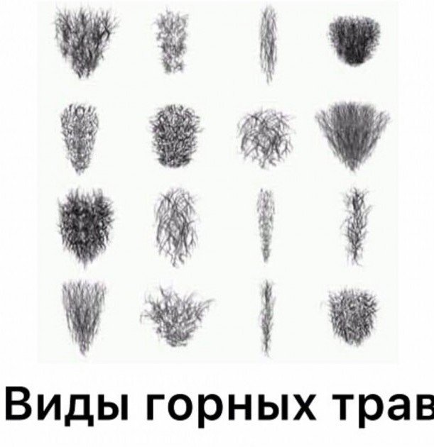 Форма интимной стрижки