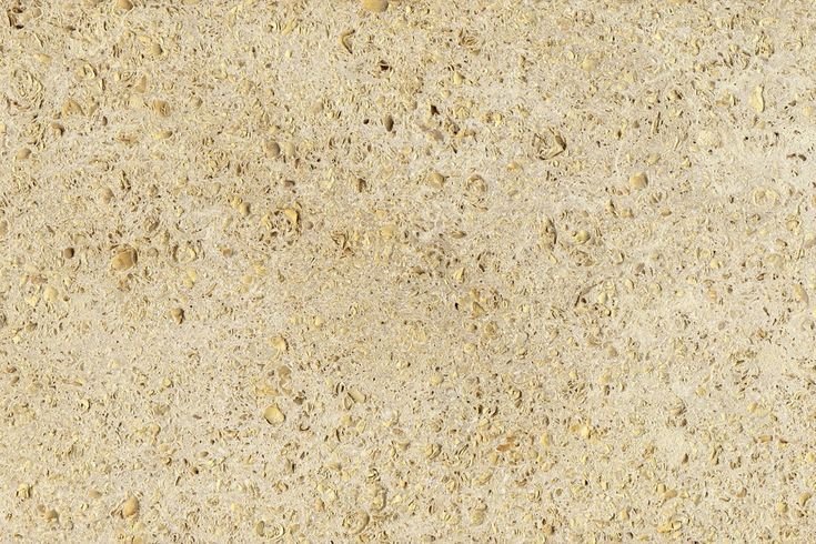 Песчаник ракушечник