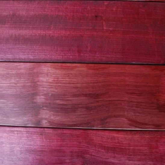 Амарант дерево