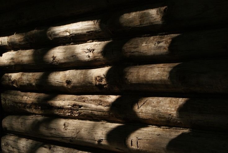 Стена из бревен