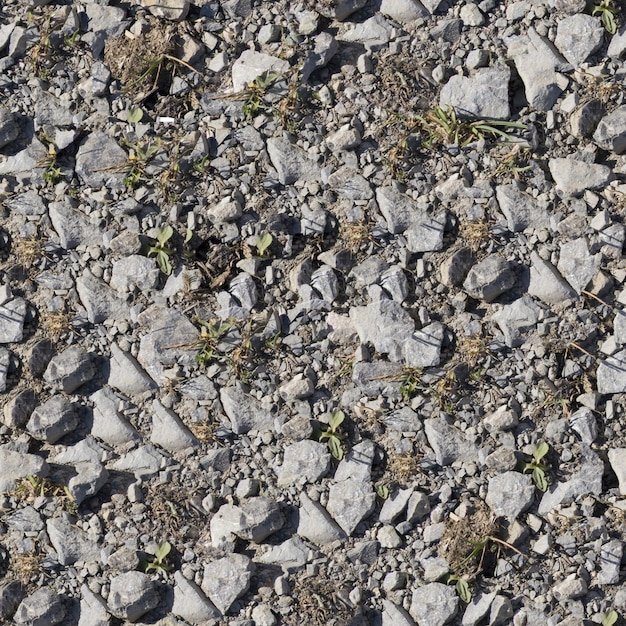 Текстура земли с камнями
