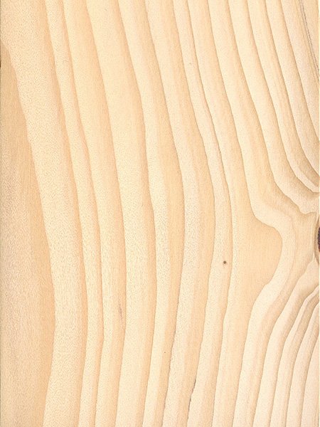 Пихта Сибирская текстура древесины