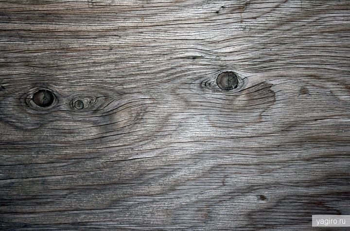 Текстура старого дерева