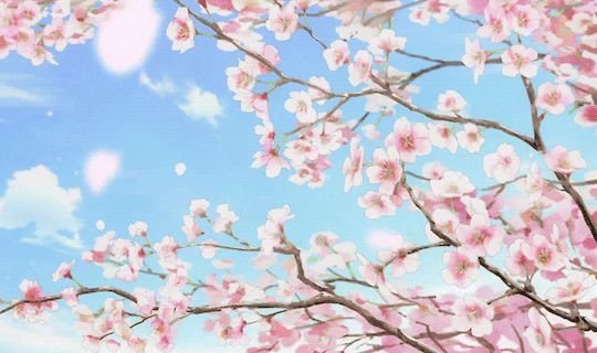 1210x300 Сакура