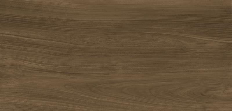 Noce Canaletto шпон