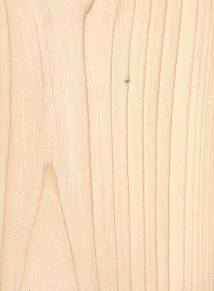 Пихта текстура древесины