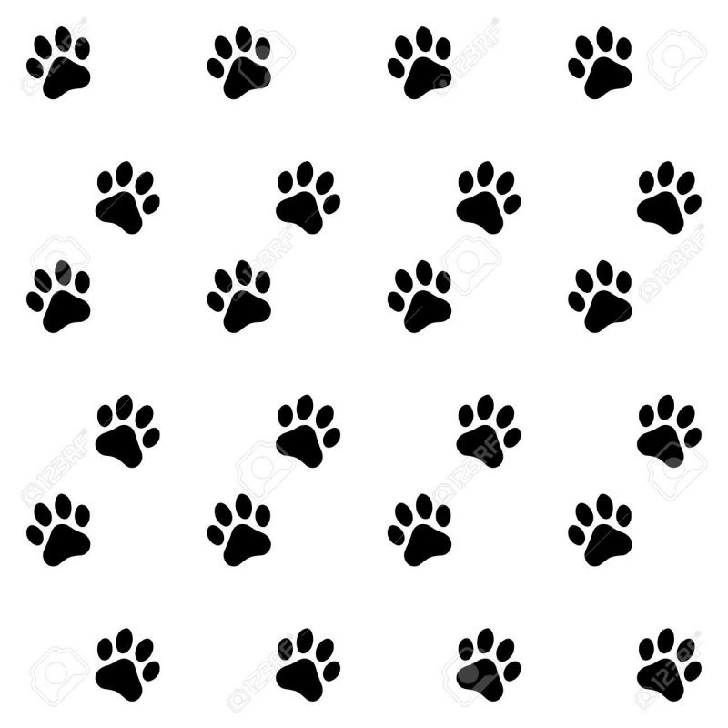 Отпечаток лапки собаки