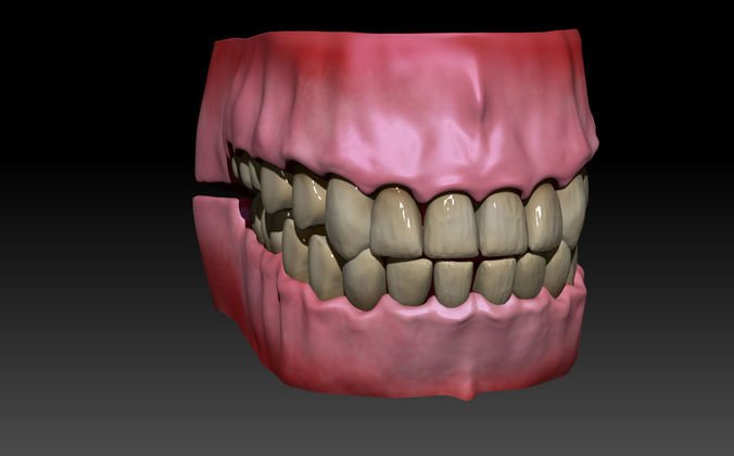 Зуб 3d модель