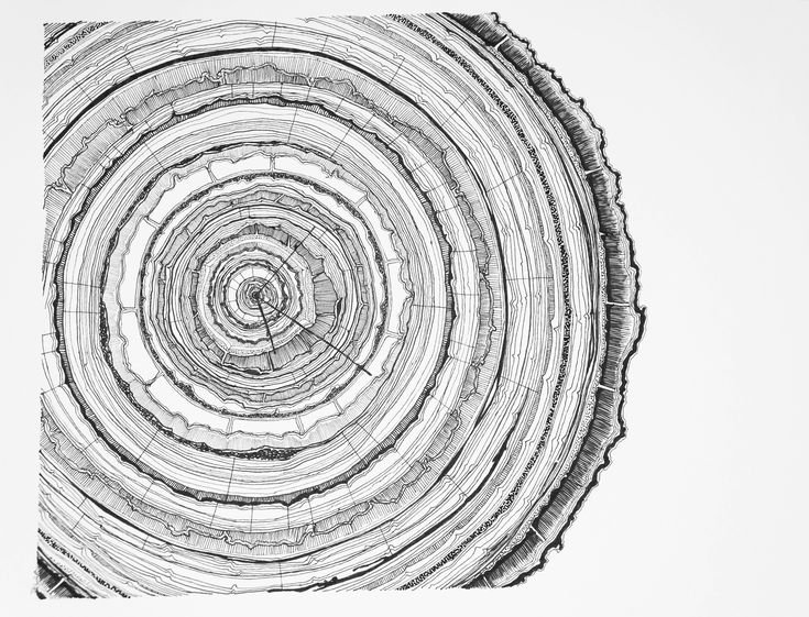 Структура дерева вектор чб