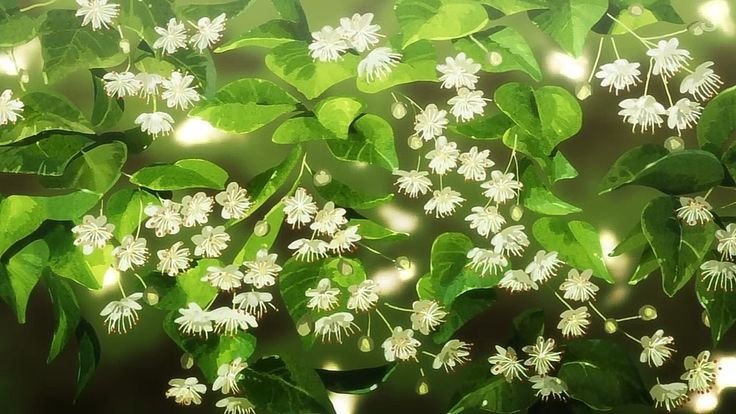 Аниме зелёная листва