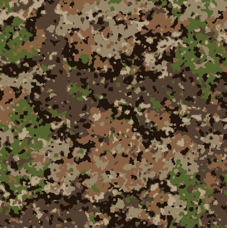 Флектарн Камо