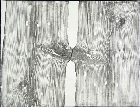 Срез дерева рисунок