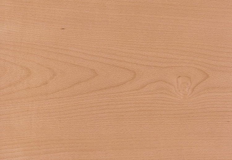 Светлое дерево текстура