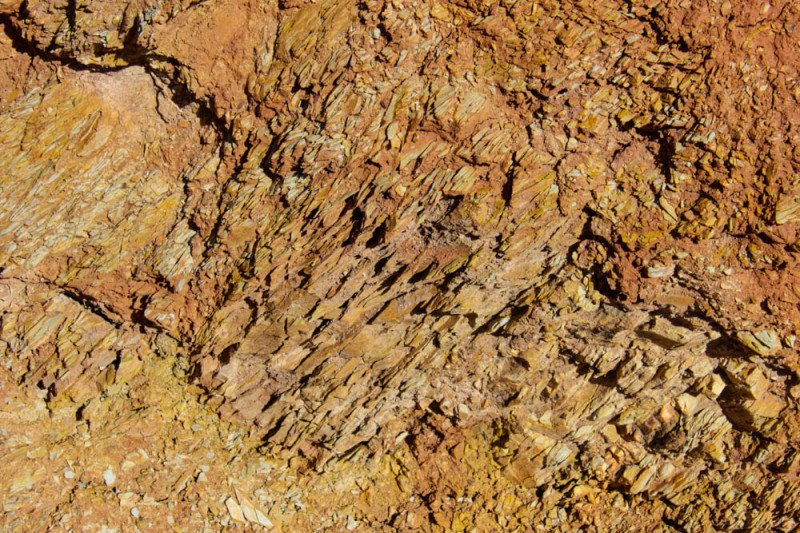 Глинистые отложения с пресноводной фауной