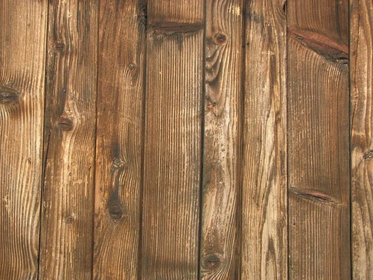 Текстура древесины