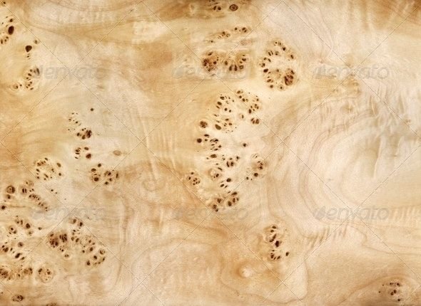 Шпон тополя