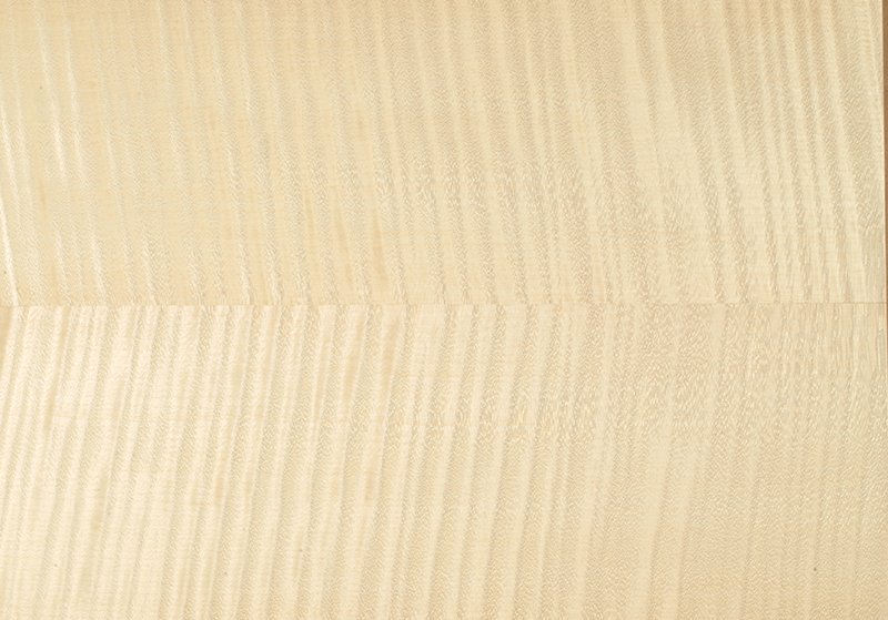 Шпон клён сикамора 09.s.001