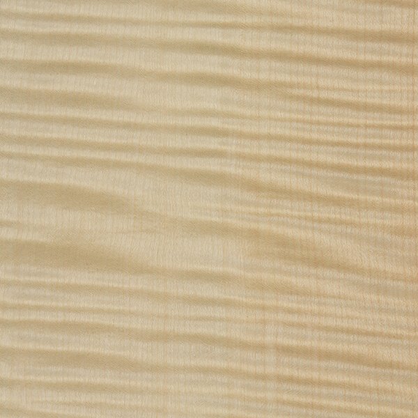 Шпон клён сикамора 09.s.001