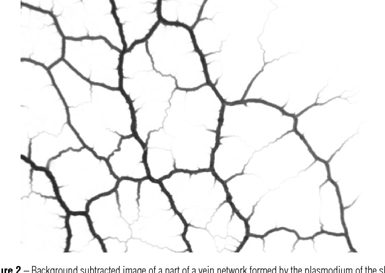 Трещины Альфа текстура