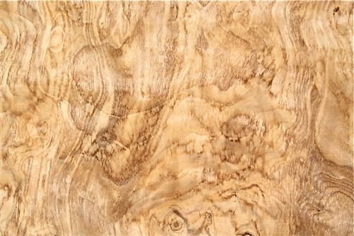 Шпон корень ясеня